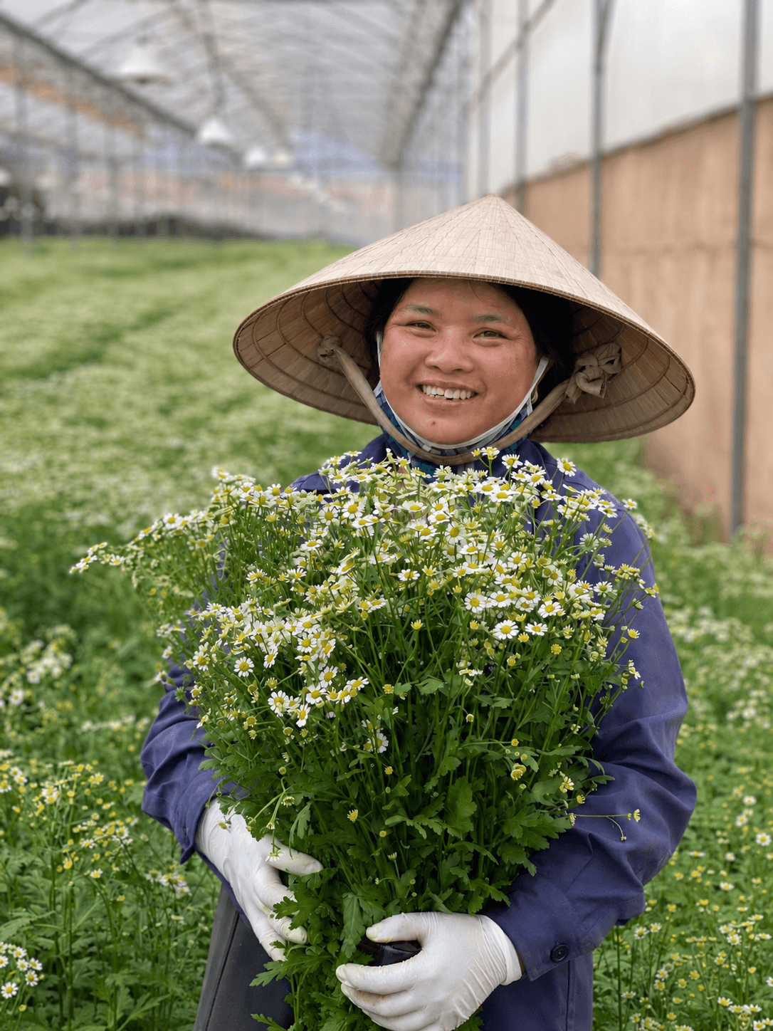 Trân Trọng Giá Trị Việt